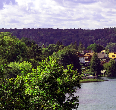 Blick auf den Schermützelsee in Buckow