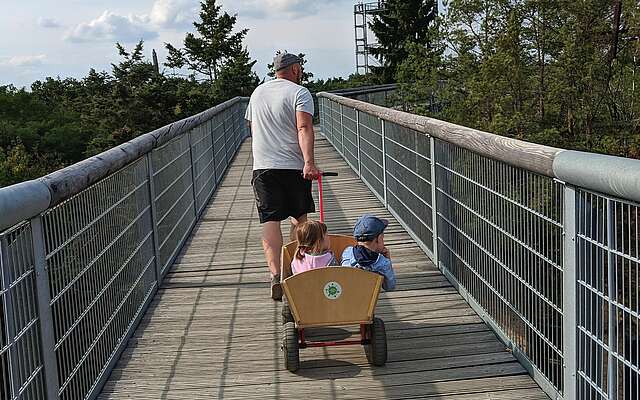 Unterwegs auf dem Baumkronenpfad Unterwegs auf dem Baumkronenpfad