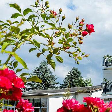 Fontane Hotel mit Rosenhecke