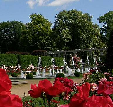 Ostdeutscher Rosengarten in Forst (Lausitz)