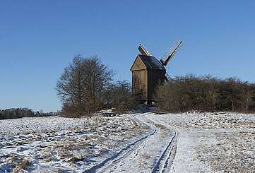 Bockwindmühle Borne
