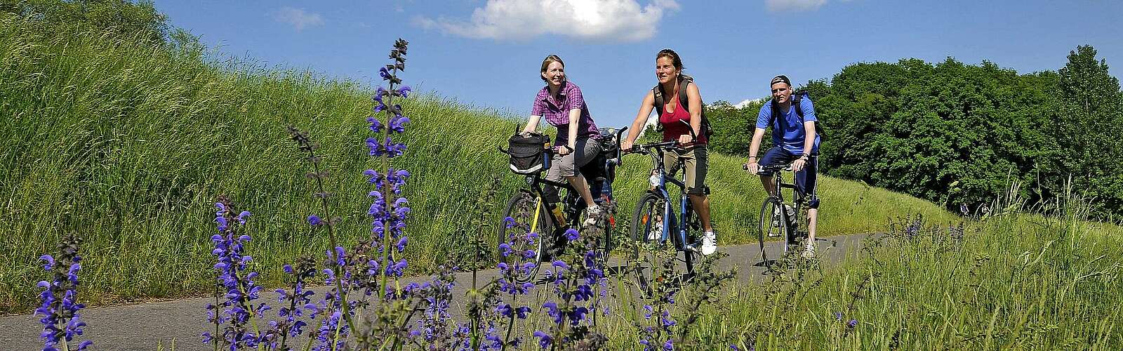 Radfahrer auf dem Oder-Neiße-Radweg