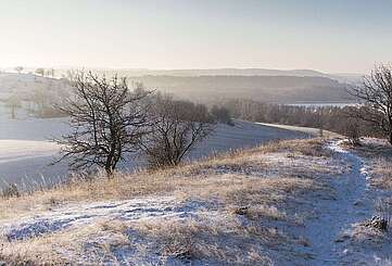 Rummelsberg at Brodowin