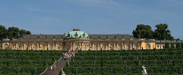 Schloss Sanssouci mit Weinbergterrassen