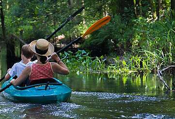 Paddeln im Spreewald