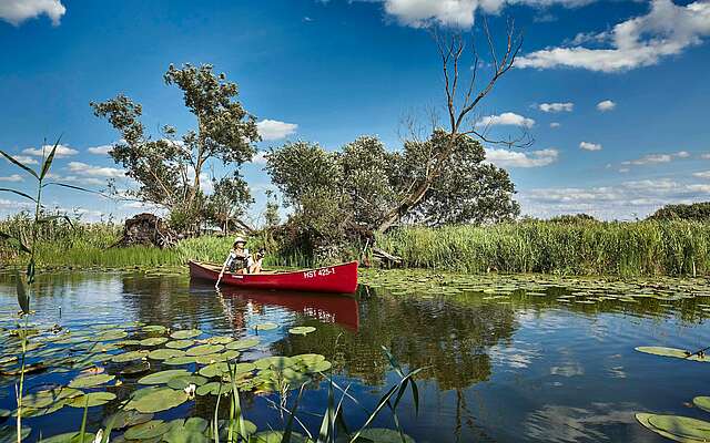Kanu im Nationalpark Unteres Odertal