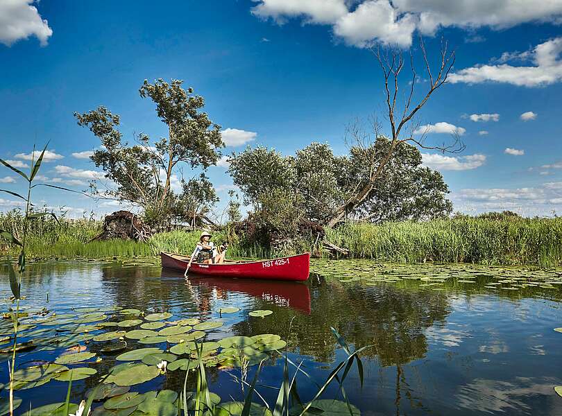 Kanu im Nationalpark Unteres Odertal