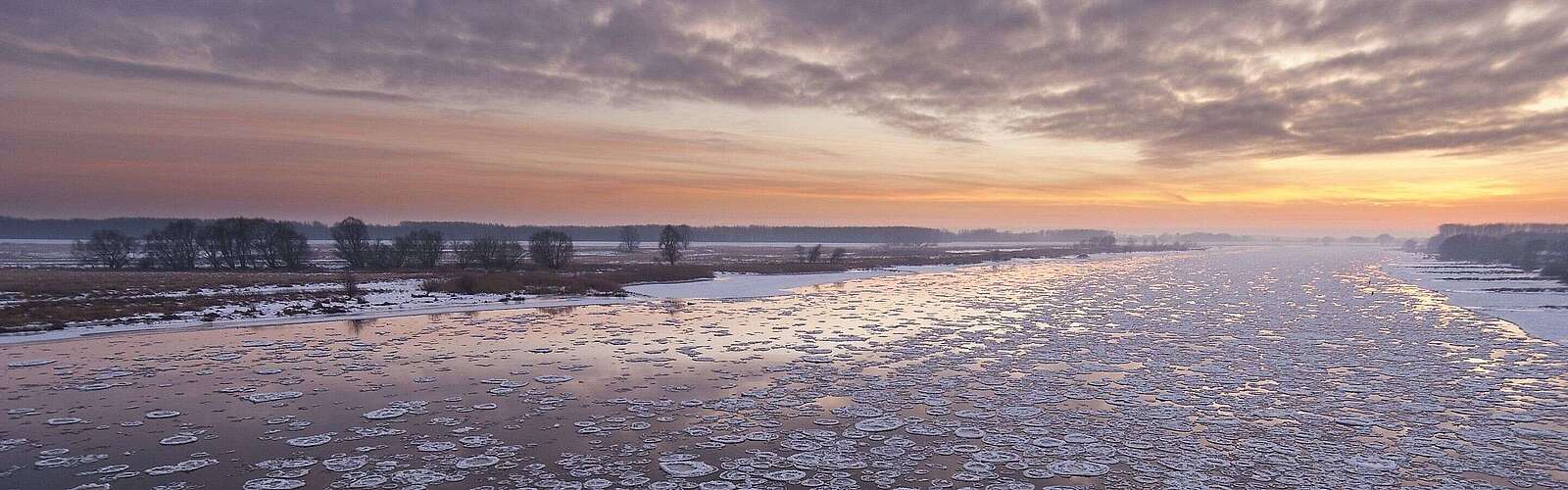 Elbe bei Wittenberge